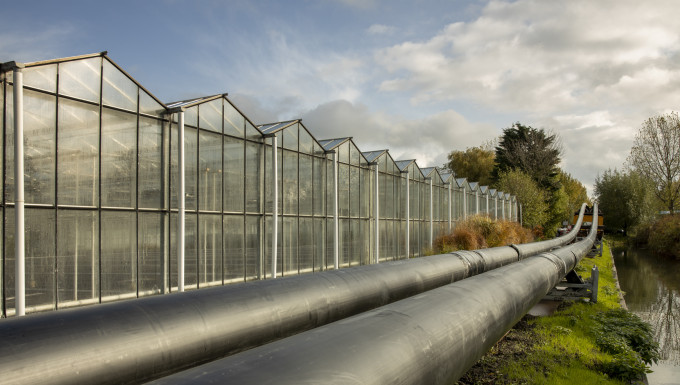 Glastuinbouwbedrijf in het Westland - fotograaf Marc Dorleijn