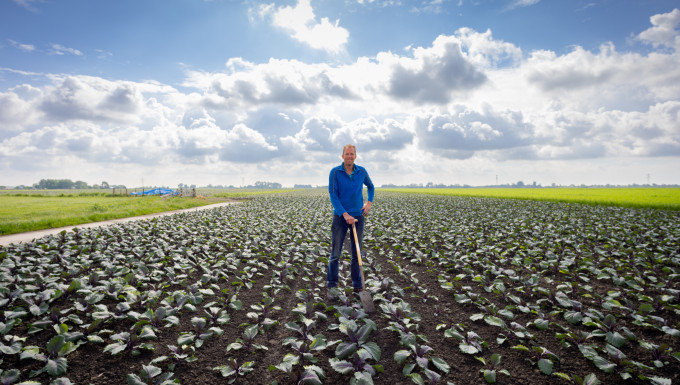 rode kool op compost van HVC