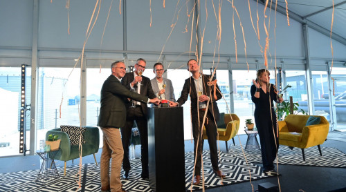 springplank Trias Westland