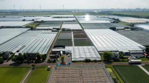 beoogde aardwarmtelocatie Maasdijk, juli 2021
