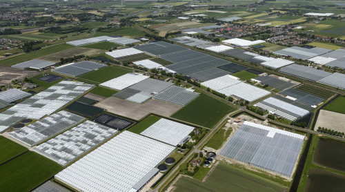 Kassengebied Alton Heerhugowaard