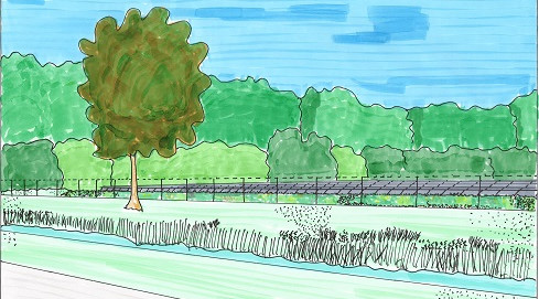 impressie zonneveld van Voorsterweg Marknesse