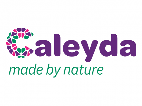 Logo Caleyda
